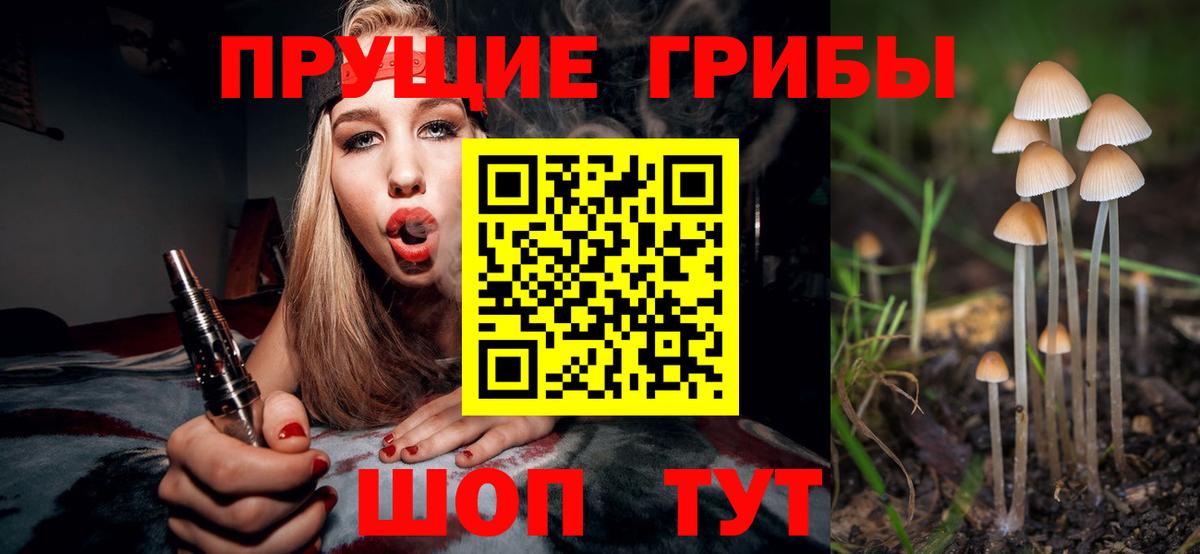 наркота  Вход с VPN  Красноуфимск  Псилоцибиновые грибы Cubensis 